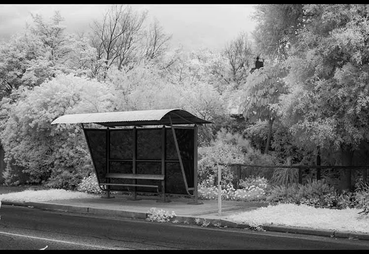 Black and white infrared landscape image looking at a bus-stop surrounded by trees and shrubbery.